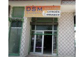 DSM Auto Parts